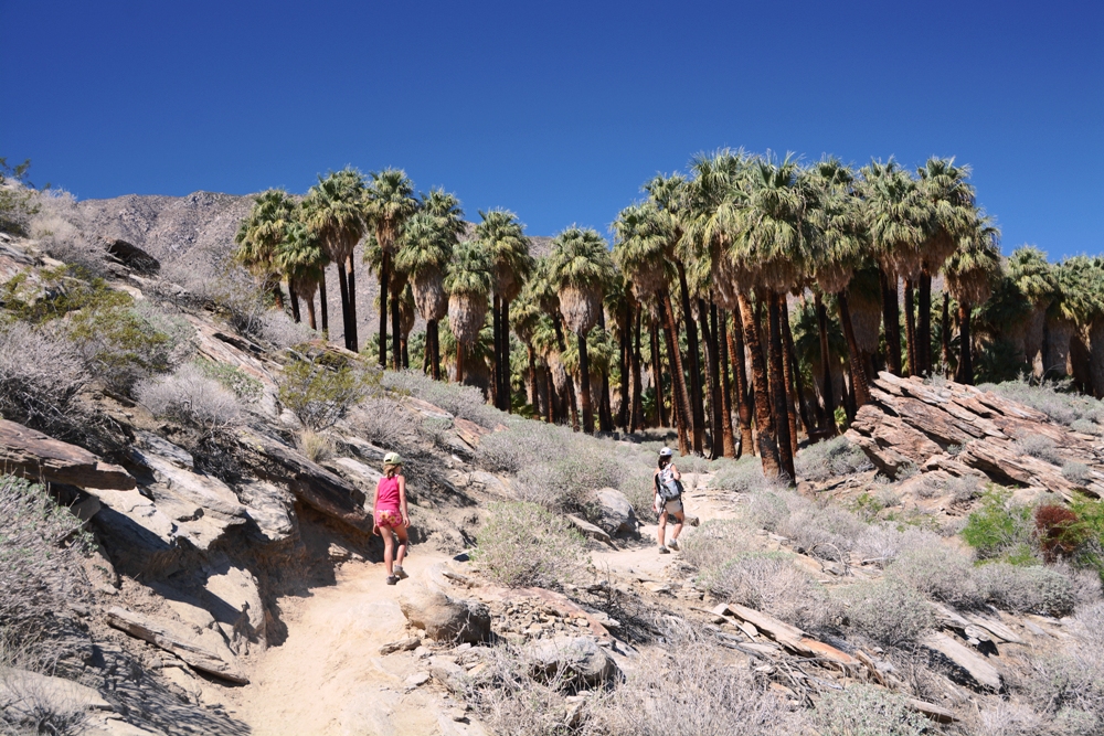 Palm Springs Hiking Trails | Outside the Cage